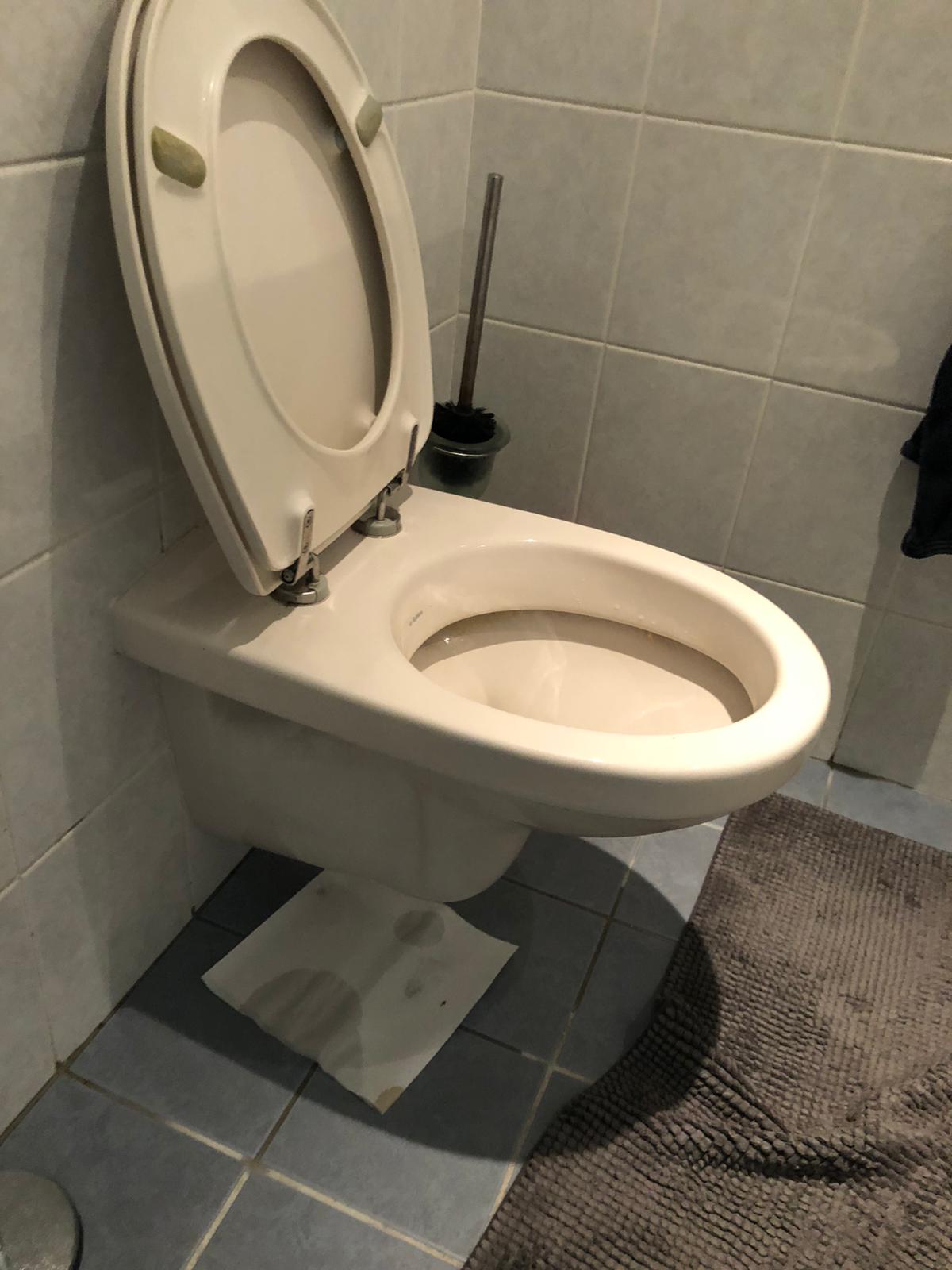 hangtoilet Hoofddorp